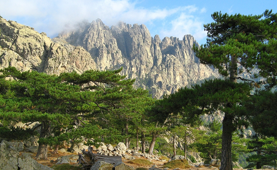 Randonnées dans l'Alta Rocca