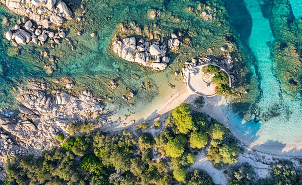 Plongée sous-marine et snorkelling
